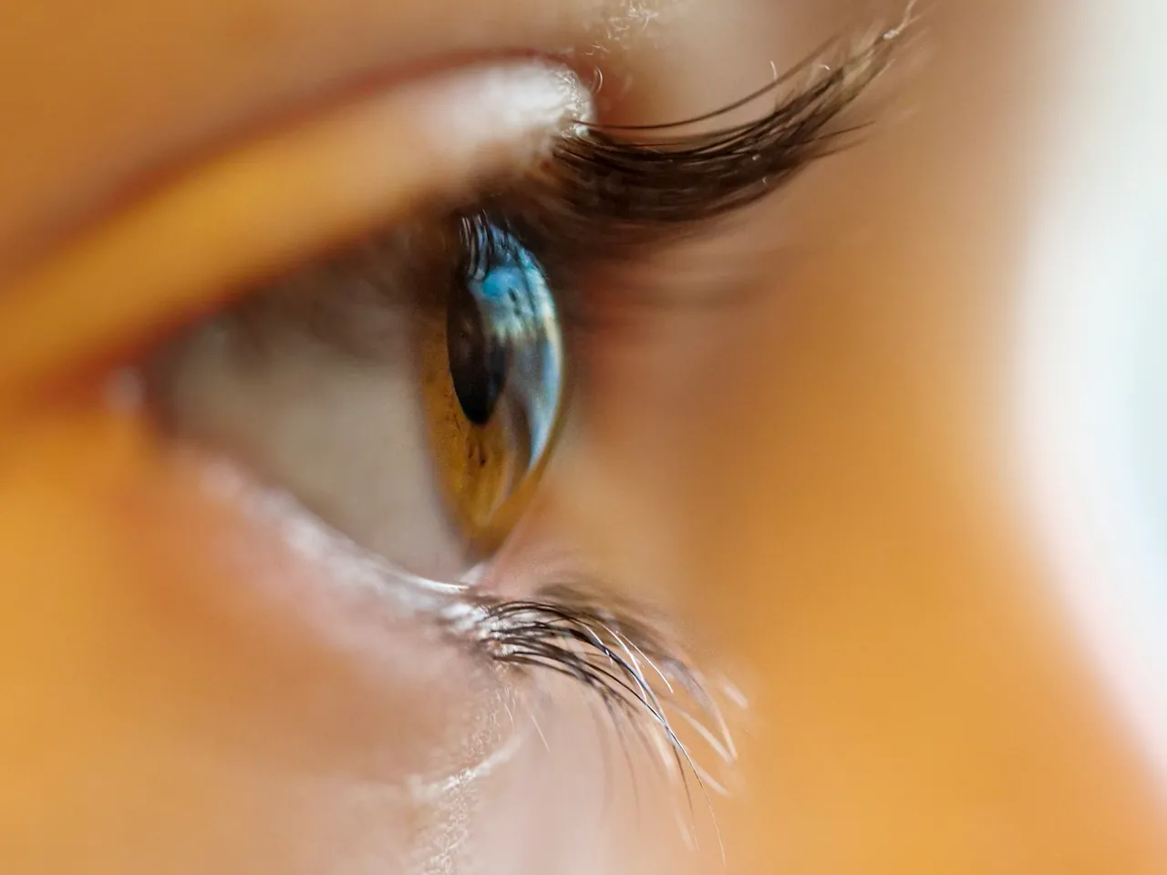 Kontakt lens